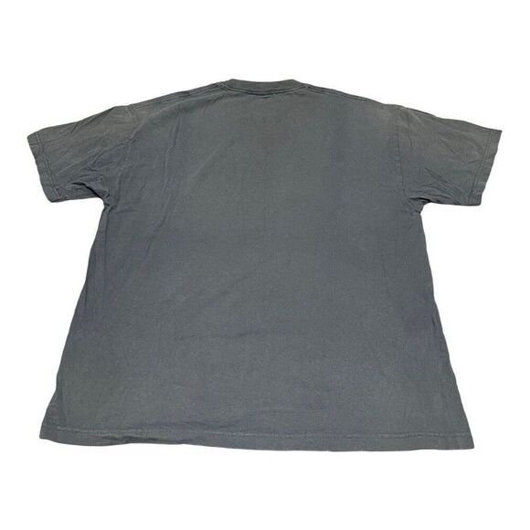 Chicago Blackhawks 2010 Stanley Cup Champs soft style Sz L T-Shirt Gray Mens - Picture 5 of 5